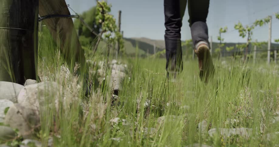Person walking in a field past some type of railing