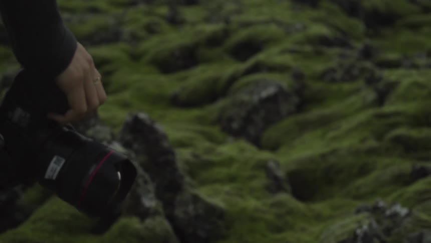 A young, brunette woman photographing moss covered rocks