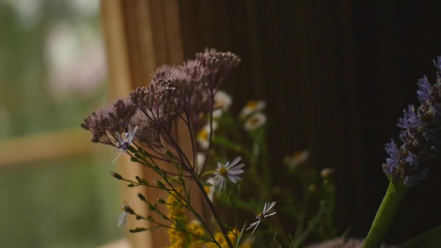 Spring flowers sitting next to a window
