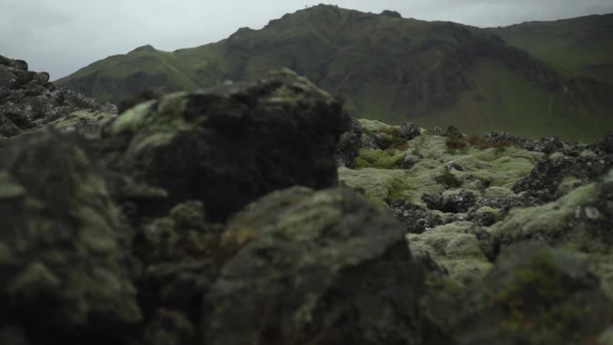Mossy rocks on a mountain top
