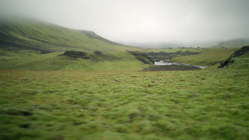 Lush green land in a valley