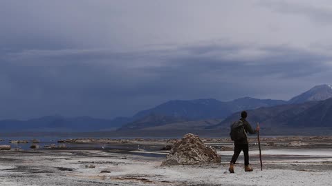 A man walks carrying a stick