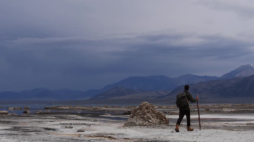 A man walks carrying a stick