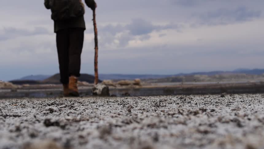 A person walking holding a stick