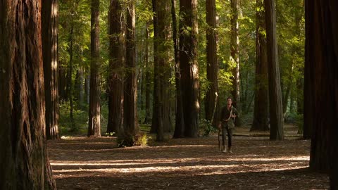 A person walking in the woods