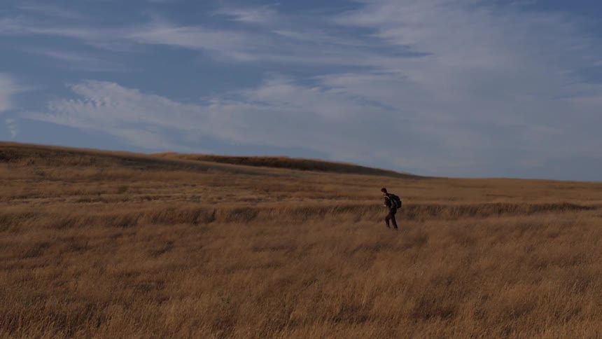 A man is walking in a grassy field