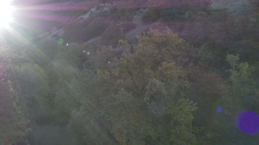 A couple walks through a quiet field