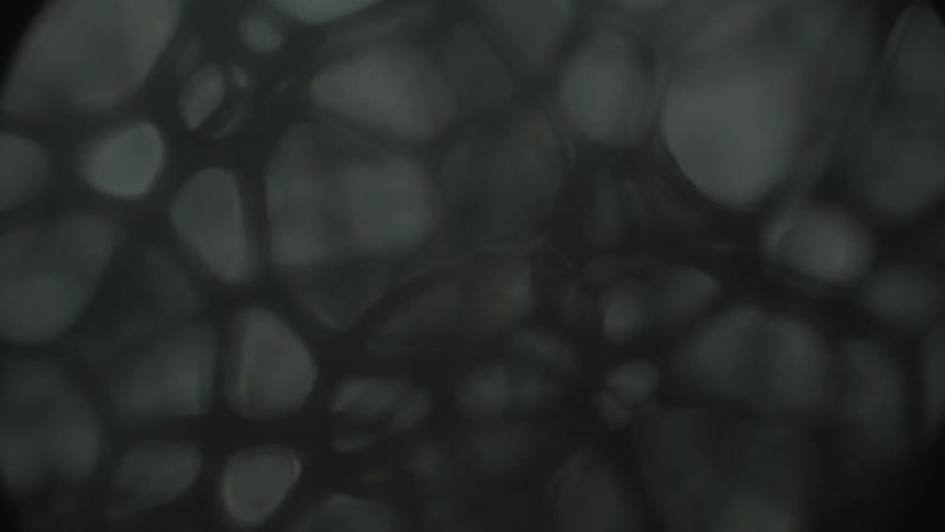Bubbles in liquid coming in and out of focus