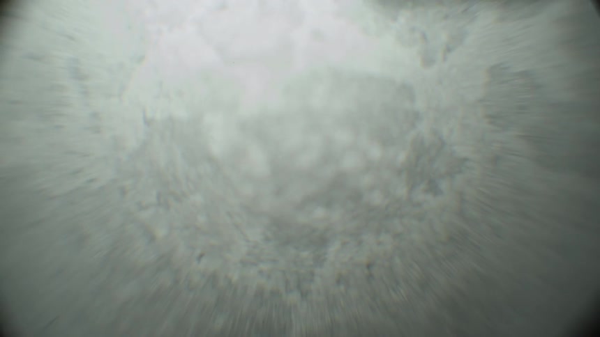 A microscopic view of an object
