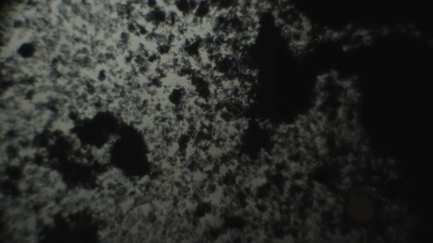 Black fragments clump together