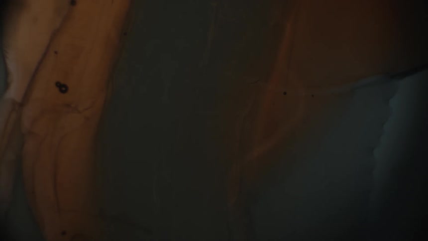 Bubbles floating in a brown-tinged liquid