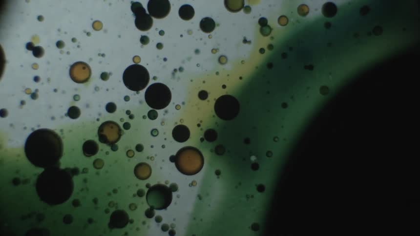 Colorful bubbles floating around