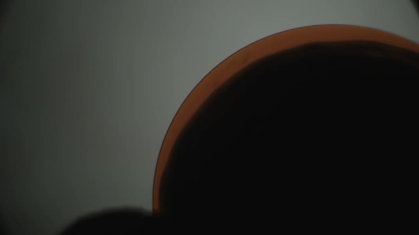 Oil is absorbed together in water