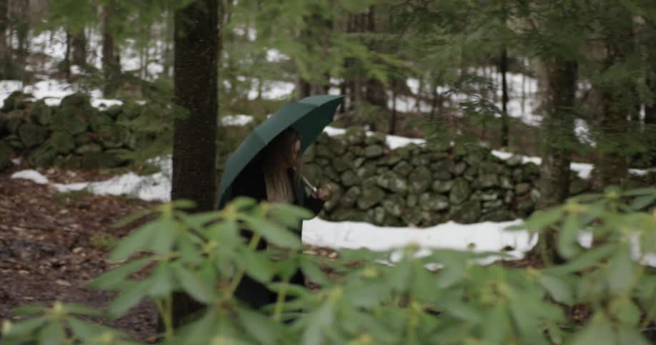 A woman holding an umbrella walks through the forest as it rains