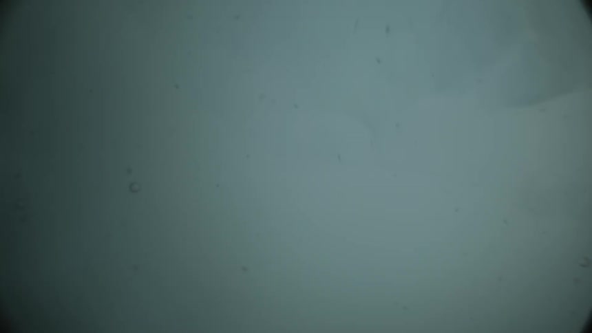 Bubbles swirling in water