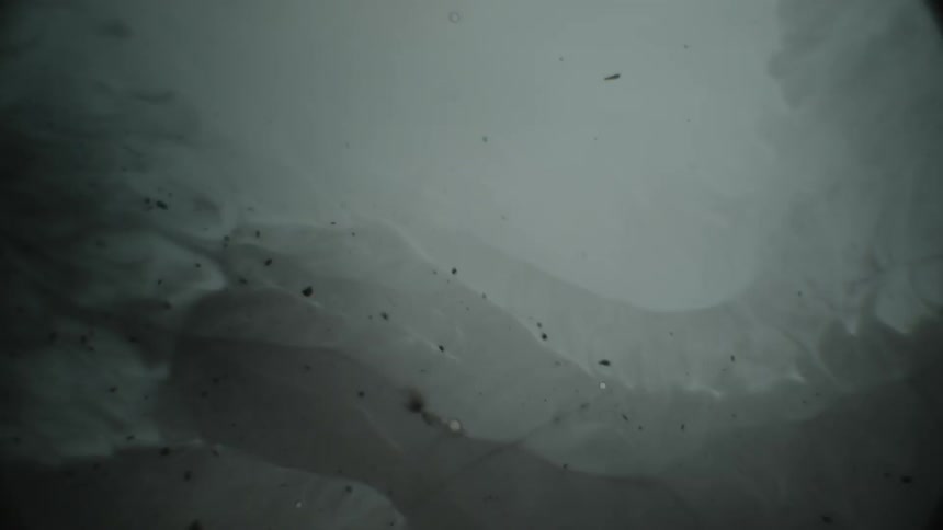Water is shown magnified