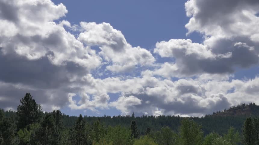 Clouds moving in the sky over a forest