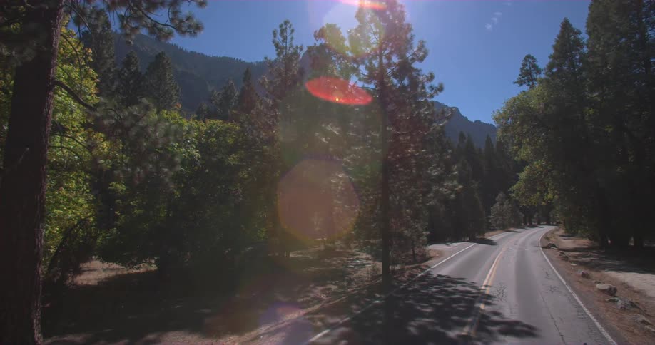 A road runs through a forest