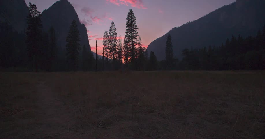 Pine trees are silhouetted against the setting sun