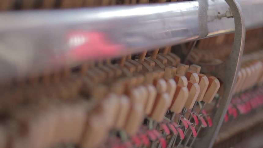 Children pushing the keys of a piano to see how the sound is made