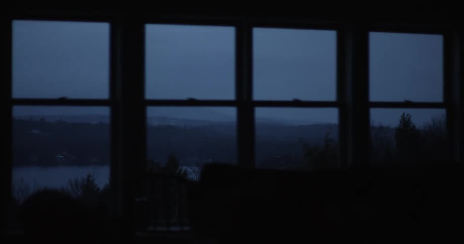 Four windows overlook a dark, nighttime scene