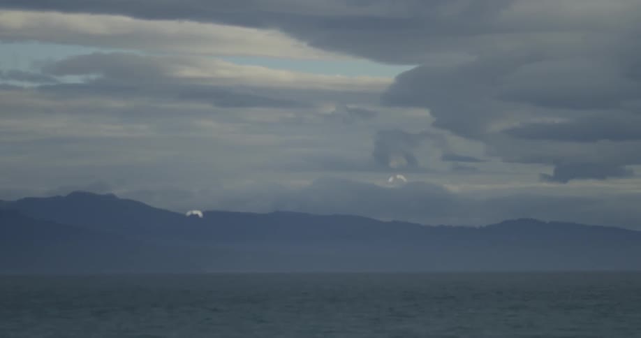 Birds fly over the ocean