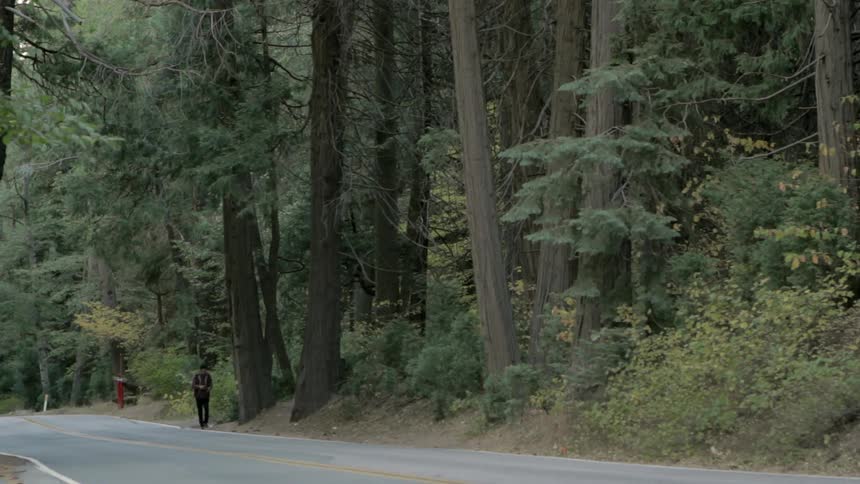 A man walks along a tree-lined road